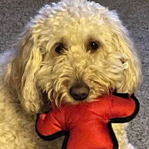 Meet your Posher, Deborah